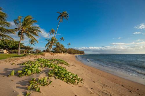 Apartamento Maui Sunset #a-117 Condo