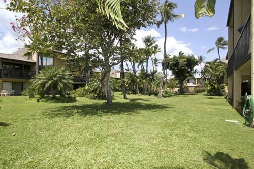 Apartamento Kihei Garden Estates C208