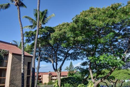Apartamento Maui Vista 2315