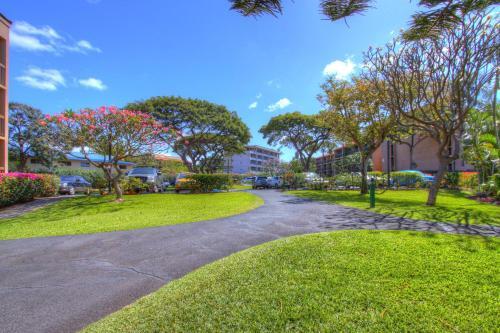 Apartamento Maui Vista 2401