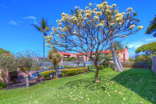 Apartamento Maui Vista 2108