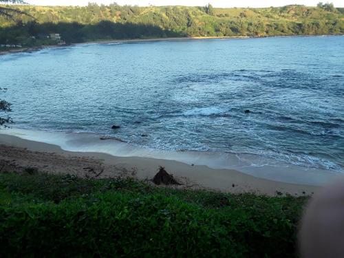 Tranquillity Blue Villa At Moloaa Bay