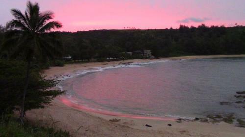 Tranquillity Blue Villa At Moloaa Bay