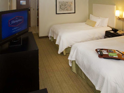 Hotel Hampton Inn & Suites Chicago-downtown