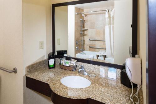 Hotel Hampton Inn & Suites Henderson-saint Rose