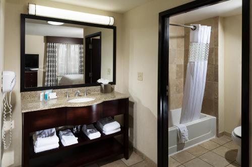 Hotel Hampton Inn & Suites Henderson-saint Rose