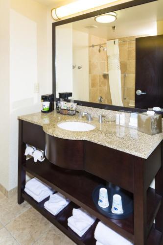 Hotel Hampton Inn & Suites Henderson-saint Rose