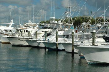 Hotel Hampton Inn & Suites Port St. Lucie-west Fl