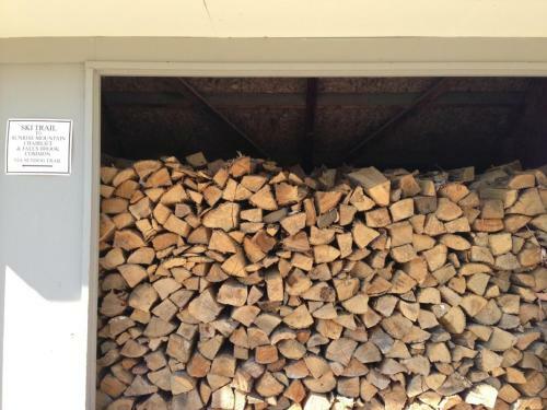 Luxury Trailside Condo - Ski In/out