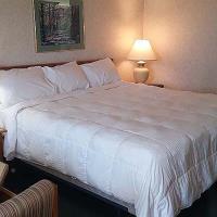 Hotel Shilo Inn & Suites Tigard/washington Square