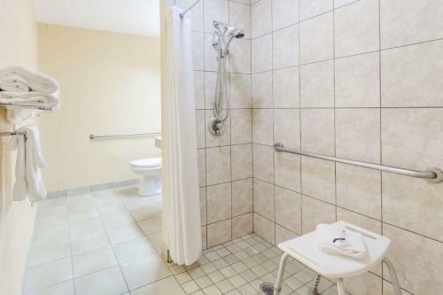 Hotel Microtel Inn By Wyndham Knoxville
