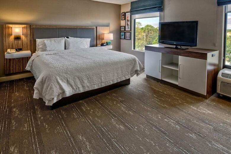 Hotel Hampton Inn & Suites Ft. Myers-estero Fl