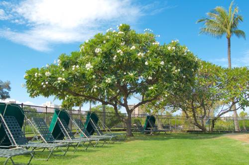 Kaanapali Royal L102