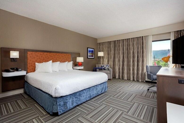Hotel Hampton Inn Kingsport