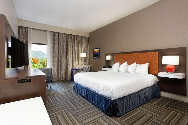 Hotel Hampton Inn Kingsport