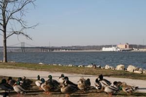 Hotel Hampton Inn & Suites Moline-quad City Int'l Aprt Il