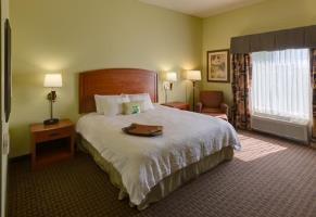 Hotel Hampton Inn & Suites Moline-quad City Int'l Aprt Il