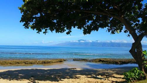 Apartamento Lahaina Luxury Condos