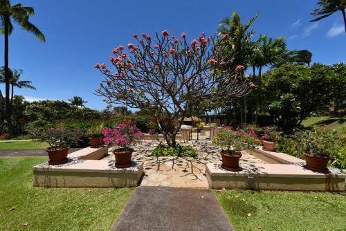 Apartamento Kaanapali Royal B303 Condo