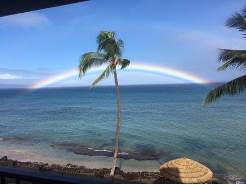 Kaleialoha #109