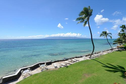 Kaleialoha #305