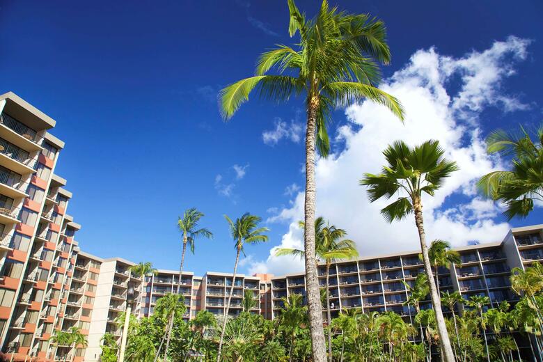 Apartamento Kaanapali Shores - 259
