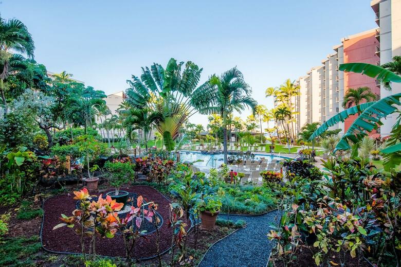 Apartamento Kaanapali Shores - 259