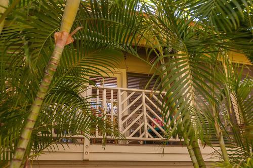 Apartamento Aina Nalu C 203 Condo