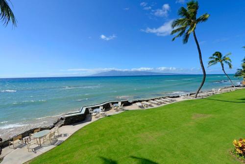 Kaleialoha #204