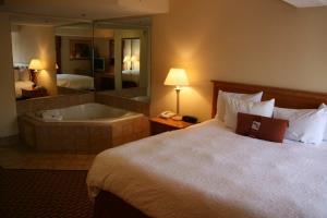 Hotel Hampton Inn & Suites Chapel Hill/durham