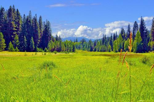 Leavenworth Camping Resort Tiny House Rudolf