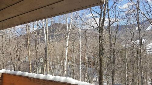 Village Of Loon 54w