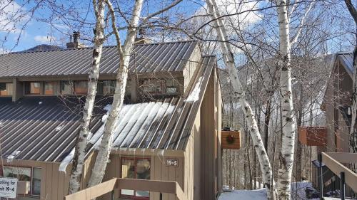 Village Of Loon 54w