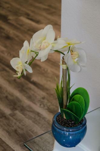 Apartamento Popular Hollywood Prestige Suite