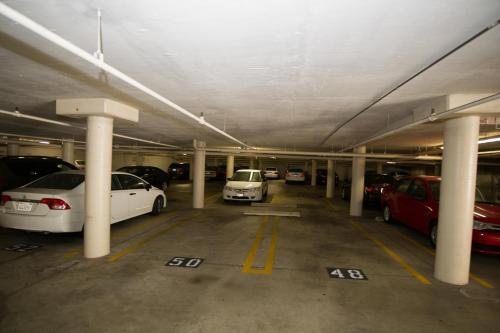 Westwood Apartment 309w