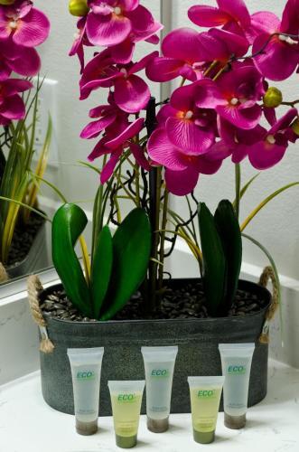 Apartamento Urban Hollywood Vip Celebrity Penthouse