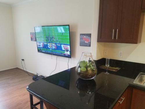 Apartamento Downtown Condo