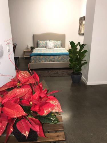 Apartamento Hollywood Loft Oasis