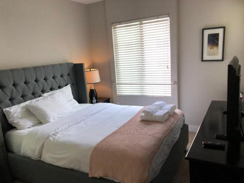 Westwood Apartment 3g84