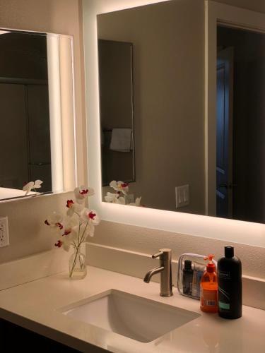 Westwood Apartment 3g84