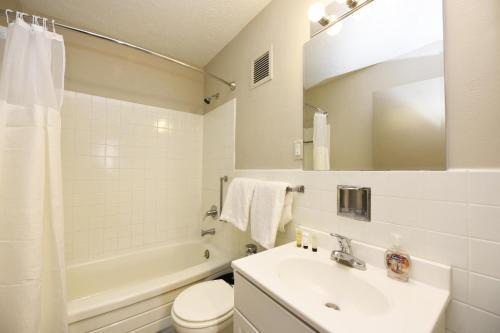 High Rise Downtown Venue Apartment