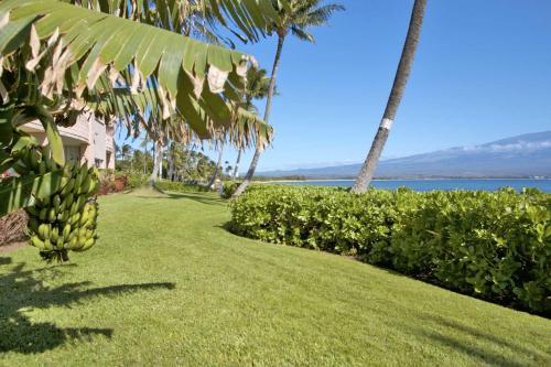 Apartamento Island Sands #206 Condo