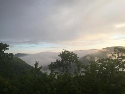 Blue Ridge Barkway Home