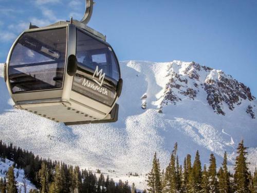 Timberline 35