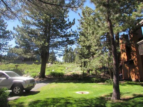 Snowcreek #13 - Phase I
