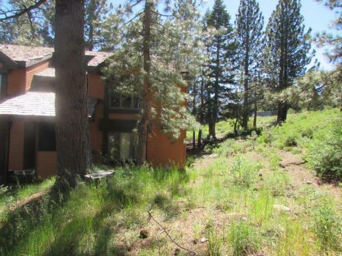 Snowcreek #13 - Phase I