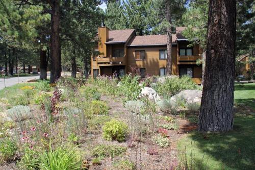 Wf45