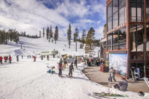 Mammoth Green Condos