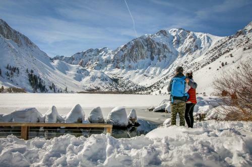 Mammoth Green Condos