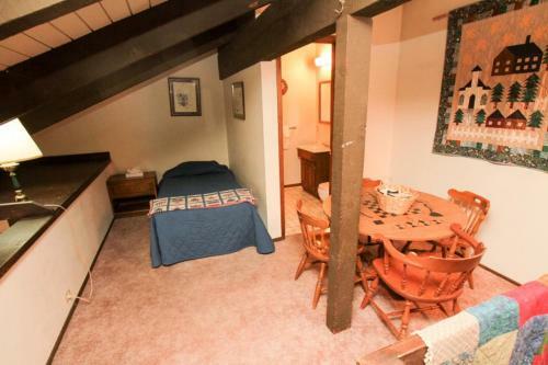 Discovery 4 #128, Loft, Pet Ok